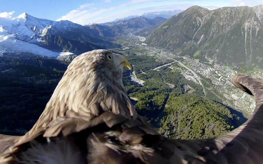 Sexwife cuckold er tahqirlash Arxangelsk jinsiy aloqa video