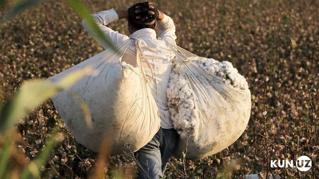 Yaxshi ishlangan porno video