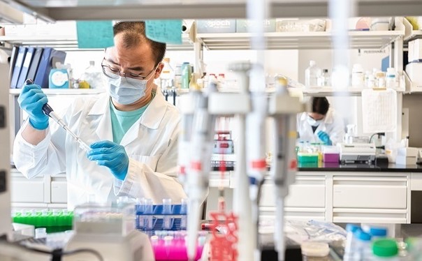 Швейцарияда коронавирус тарқалишининг бош манбалари аниқланди