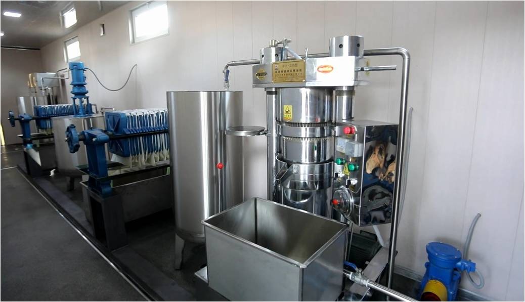 Eng katta Osiyo jinsiy olatni