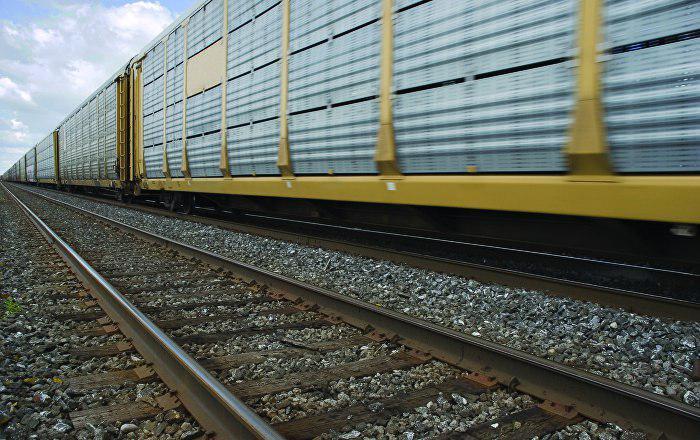 Natasha Koroleva oz mushukini onanizm qiladi