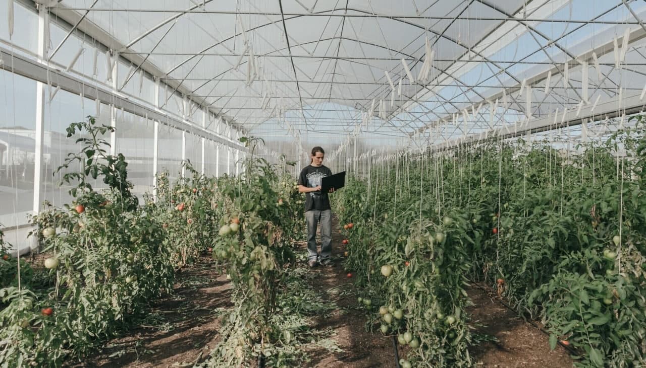 Rus qizlar uy qurilishi anal jinsiy aloqa Qiz uchun jinsiy massaj