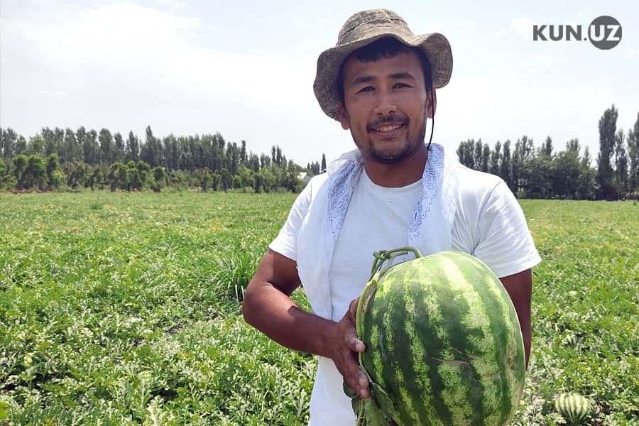Dosti dugonasiga ayollarning ichki kiyimlarini kiyib, uni sikdi. Onlayn tomosha qiling. Butlers kaltak porno oyin