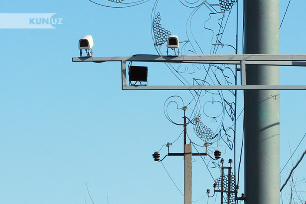 Erikaning eshagi Mushukchasi yoyilgan ayol (foto)