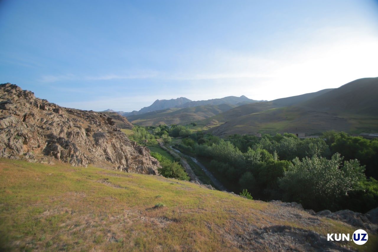 Mushuk, anus va dik bilan buzuqlik