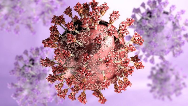 Коронавирус: бўлажак пандемиялар хавфи ва Европада янги қоидалар