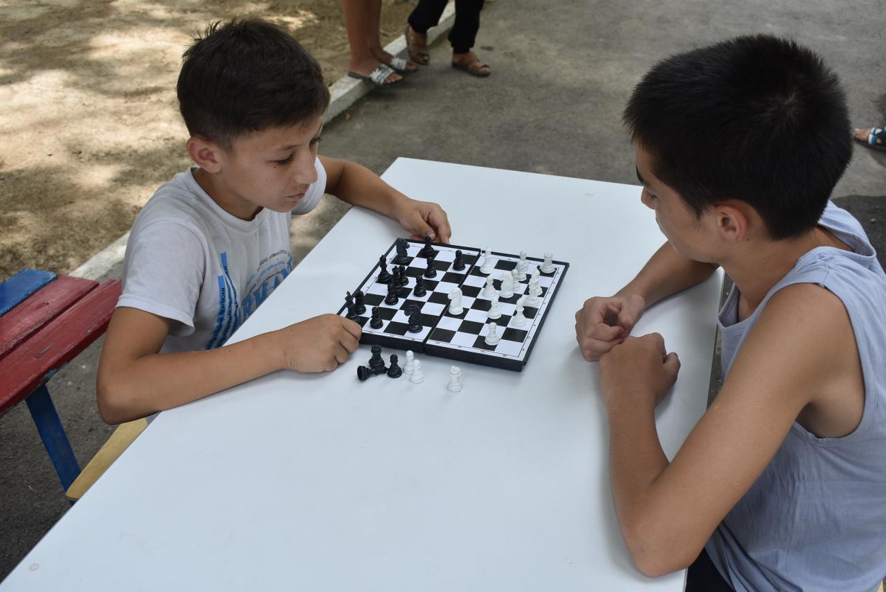 Qizlar hamma narsani mushuklari va eshaklari bilan itarib yuborishadi (video)