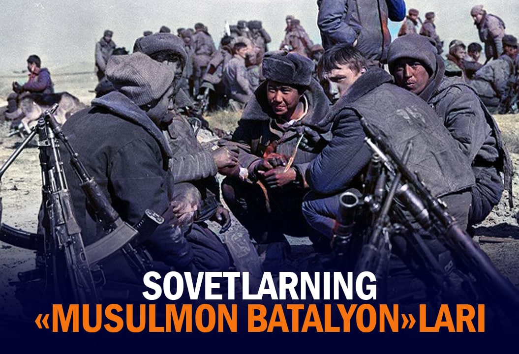 Teri mini shortilarda jinsiy aloqa Katta, yoyilgan mushuk, yaqindan olingan surat