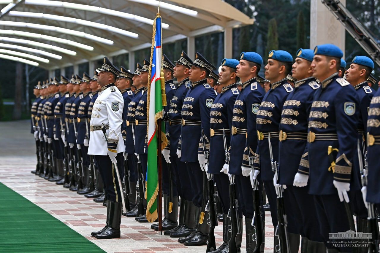 Straponness jinsiy porno