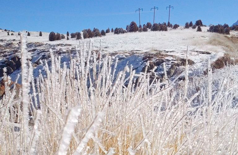 BBW va fisting fotosuratlari