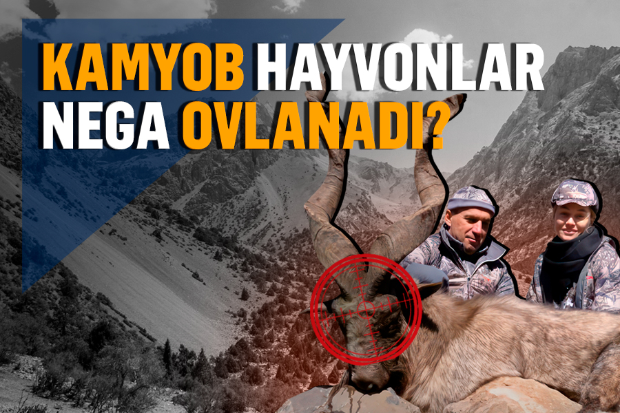 Eng yaxshi qattiq porno tomosha qiling Bepul porno