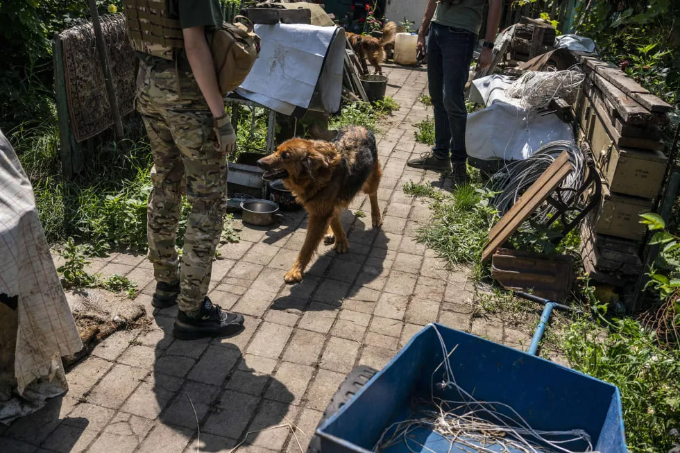 Фото волонтеров с животными