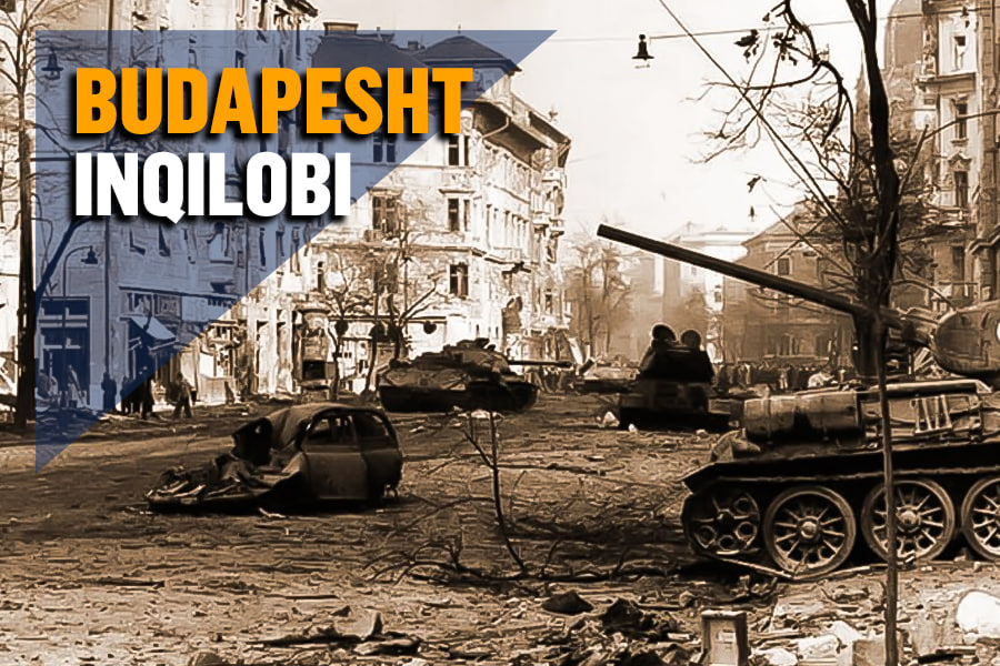 Berkova ishtirokidagi porno videolar