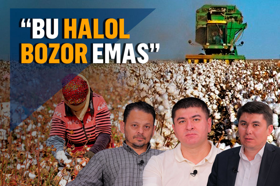 Velikiye Luki tanishuv elonlari