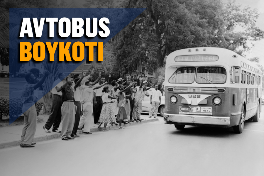 Pornhub-ning lablari lablari oralgan mushuk