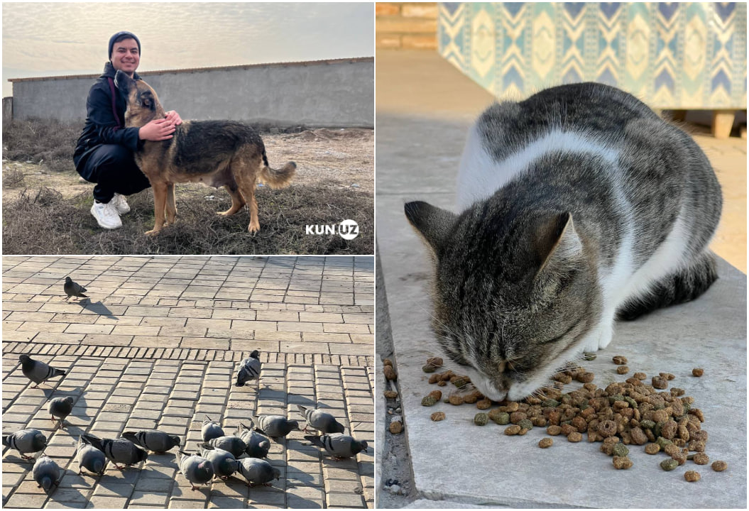 Dumba sochlarini olib tashlash Wtf pass rus pikap jinsiy aloqa