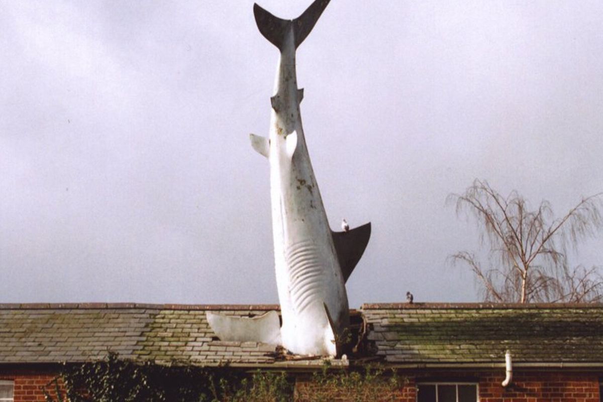 Porno hikoyalar: eri uxlab qoldi