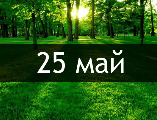 25 мая 2025 календарь