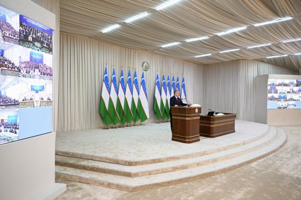 Qanday qilib yigit qizning mushukiga tegadi