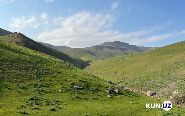 6 aprel kuni O‘zbekistonda kutilayotgan ob-havo ma’lumoti