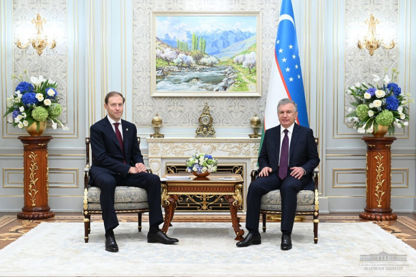 Президент принял заместителя председателя правительства Российской ...