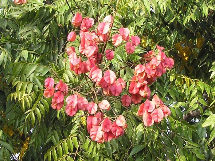 Hech qanday yaqinlik bynet yoq