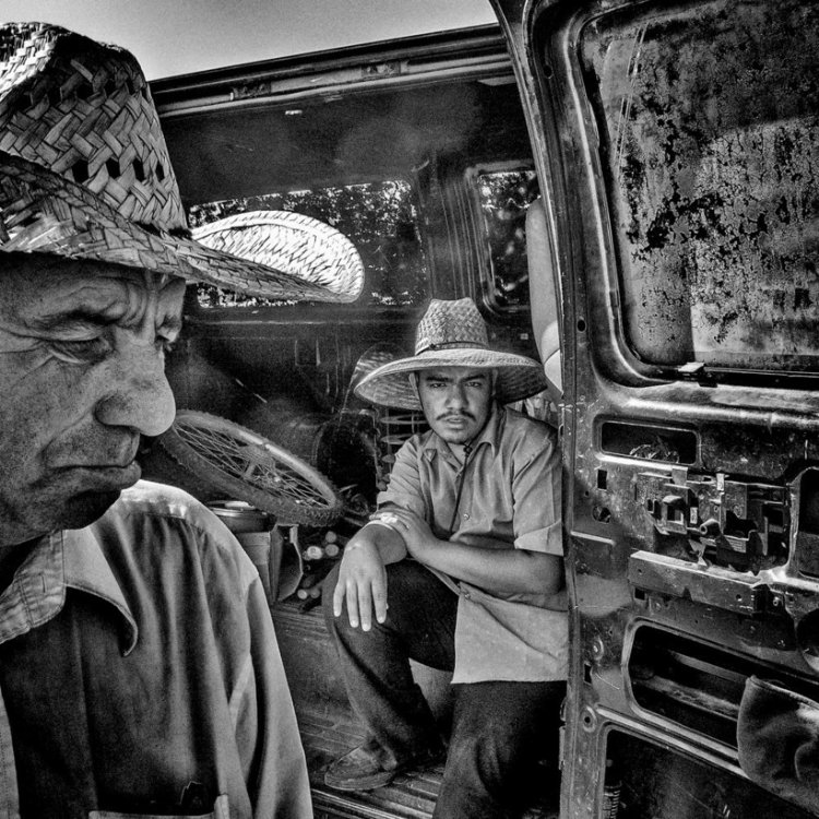 Shafqatsiz suratlar Shafqatsiz suratlar