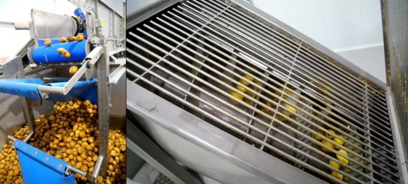 Бизнес план производство картофеля фри замороженного thumbnail