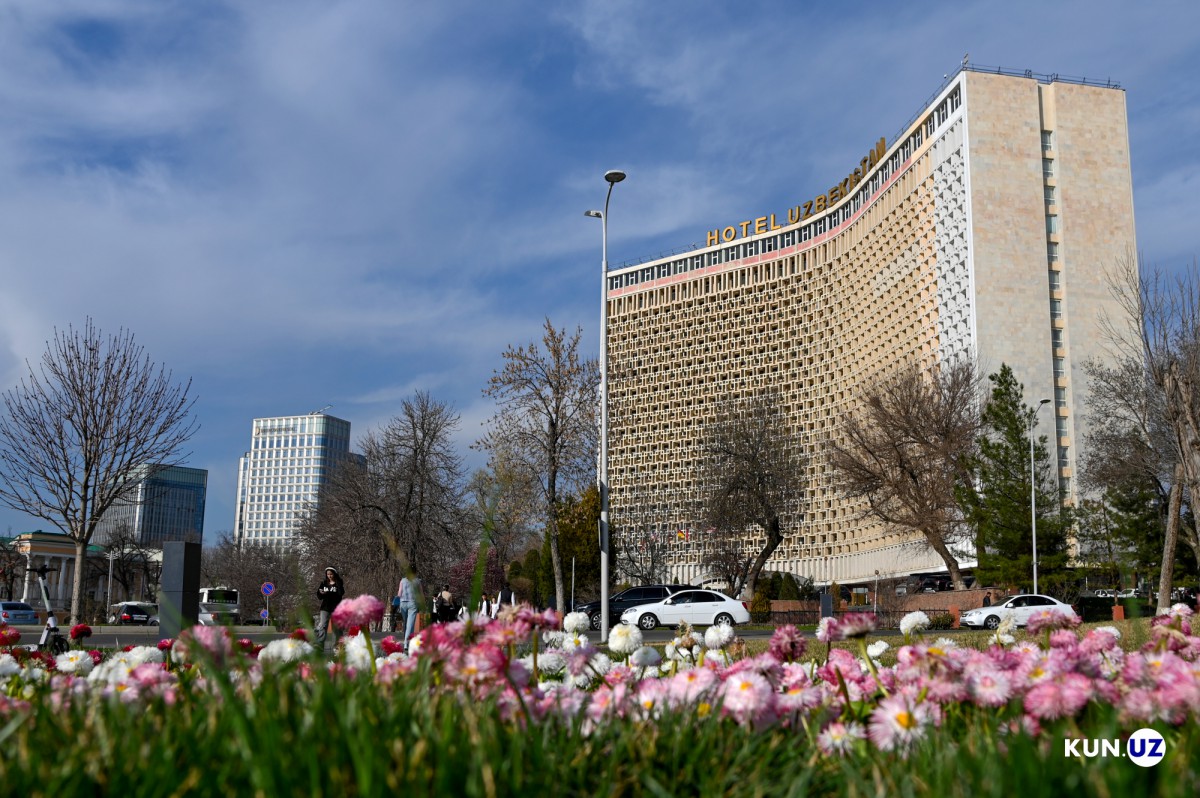 Fantastik tort porno rasmlar