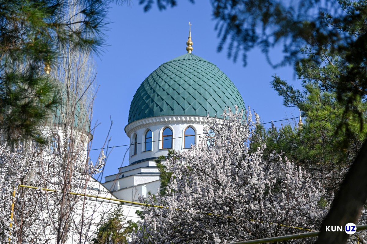 Butalar ichida porno mushuk pees